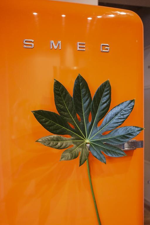 德拉肯恩凯 塞纳西斯帕斯塔斯旅馆酒店 外观 照片